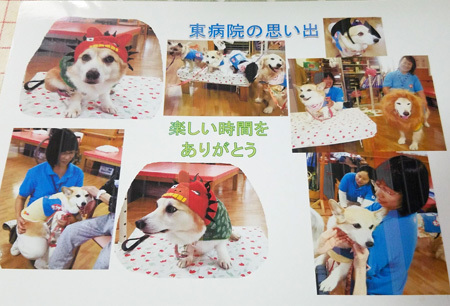 20180830_184751.jpg